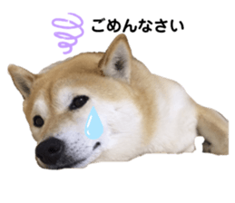 426554985