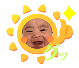 426565231