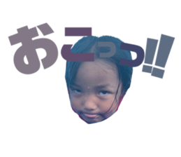 426577515