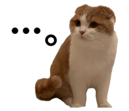 426581095