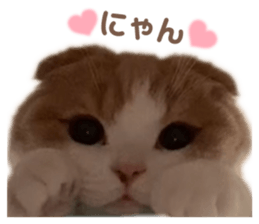 426581101