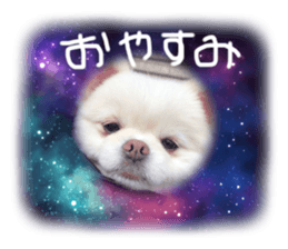426601095