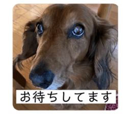 426637506