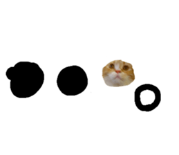 426639629