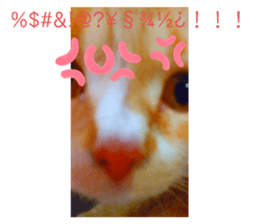 426639648
