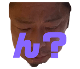 426657559