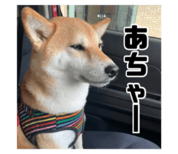 426668001