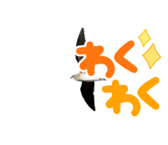 426688264