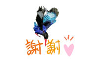426688269