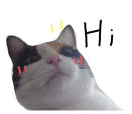 426709607