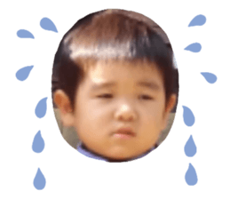 426730167