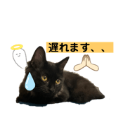 426742163