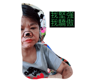 42682127