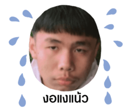 426821409