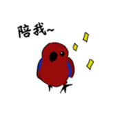 426843880