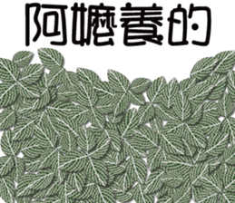426856719