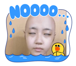 426904056