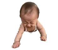 426907074