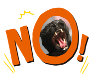 426909606