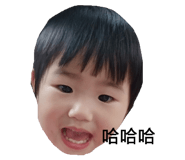 42692068