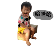 42692081
