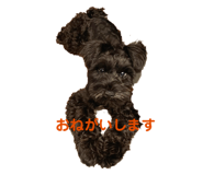 426941473