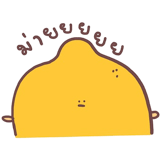 426973805
