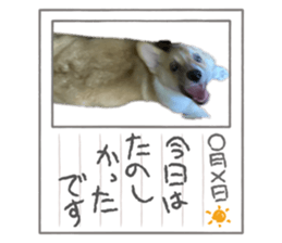 426981157
