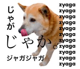 426985611