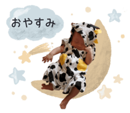 427005021