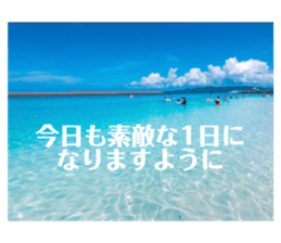 427013177