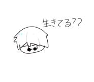 427208786