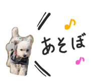 427233067
