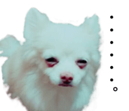 427235989