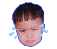 427238481
