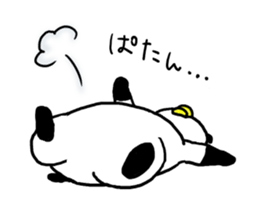 4272493