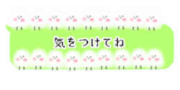 427285076