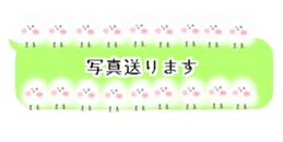 427285097