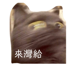 427290660