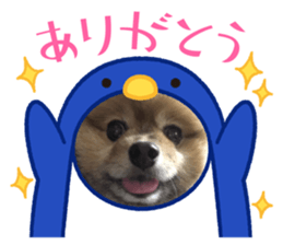 427299336