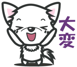 427332527