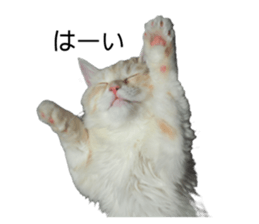 427347086