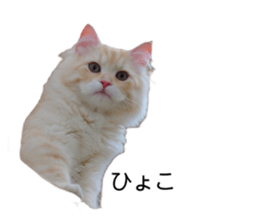 427347094