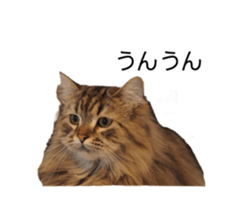 427347105