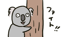 427408404