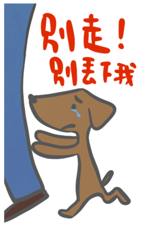 427511865