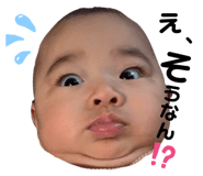427525750