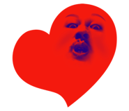 427535021
