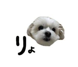 427553134