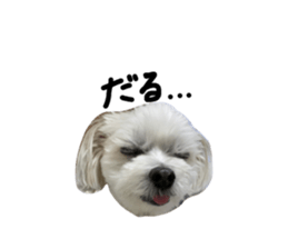 427553136